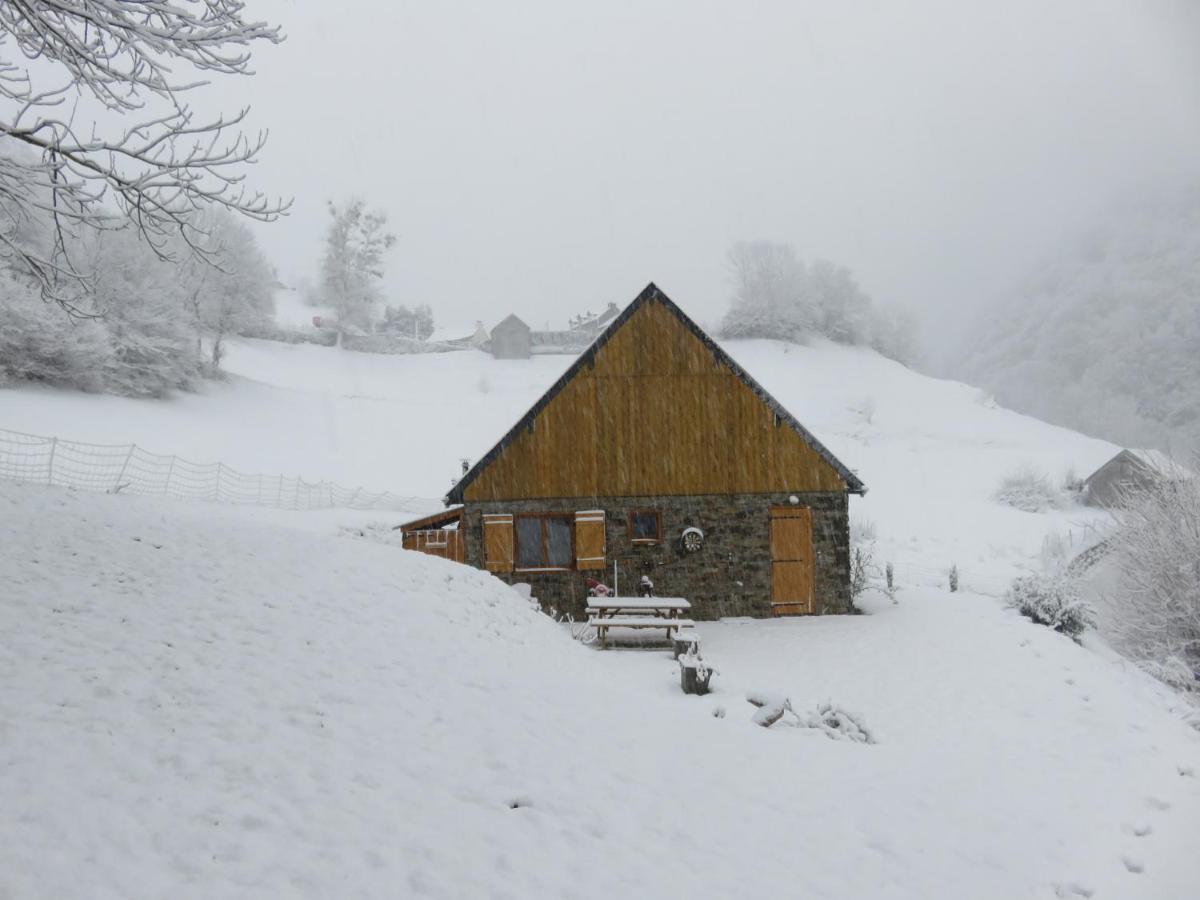 Le Bordarriben Sauna & Spa 4 Etoiles Gèdre Dış mekan fotoğraf